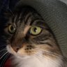 Dakkota's profile picture