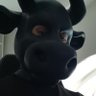 Profilbild von Dansara
