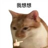 海豚阿德 profil fotoğrafı