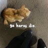 penjaga diksi's profile picture