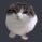 LovelyAmaterasu🇲🇽🇵🇸's profile picture