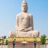 Rational Bihari 的头像