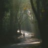 ROBIN HOOD profil fotoğrafı