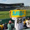🐯カン🐯's profile picture