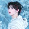 🐰🌳🦊🐈🌰🧸🐈🐿️🐧🍮's profile picture