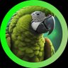 Parrot Capital 🦜 的头像