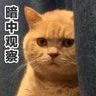 Profilbild von 鼠