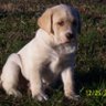 Hank's profile picture