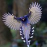 Фото профиля LibertyLover5959