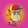 czsrk.eth's profile picture