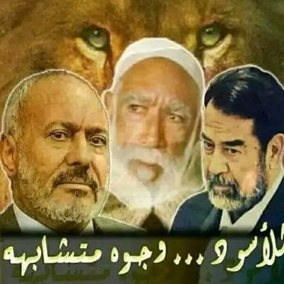 الشمقمق بديل's profile picture