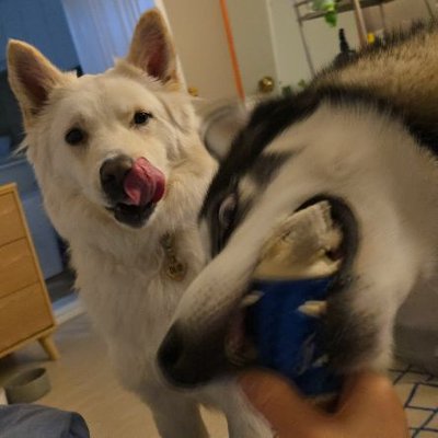 metaeho2223's profile picture