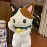 T・K(1年間おやすみ)'s profile picture