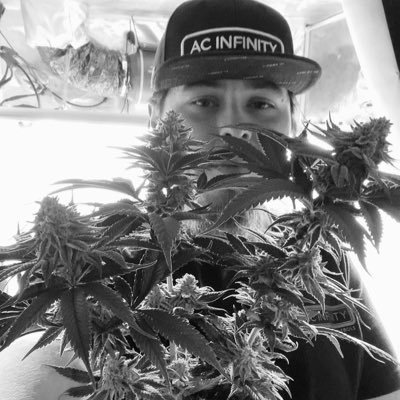 Kippa's profile picture