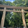 Profilbild von TadJPN0707