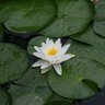Фото профиля fariba