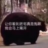Profilbild von 小蘑菇炖小鸡