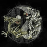Фото профиля Know1