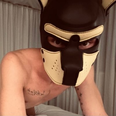 zubtoy's profile picture