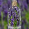 Фото профиля nisreenalomoush