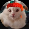ILoveDeltaWolf's profile picture