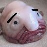 TheSquidgyFetus's profile picture