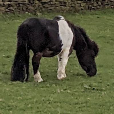 Humbug's profile picture