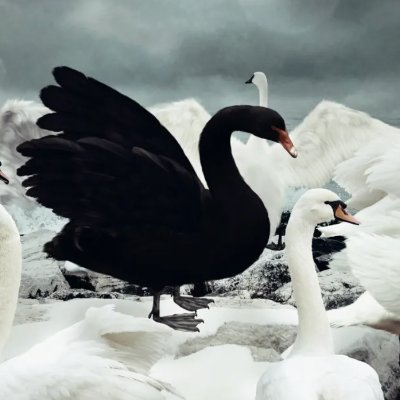 Docneuroeo's profile picture