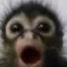 cochinomori_osu's profile picture