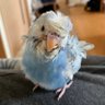 EMIO's profile picture