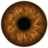 Sense Certain's profile picture