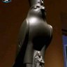 الصقر الطيني ♻️ profil fotoğrafı