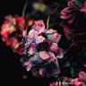 Фото профиля assad75