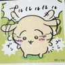 いずみちゃん 的头像