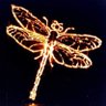 Saffron Candide @misshellite.bsky.social's profile picture