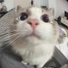 KKAWINN profil fotoğrafı