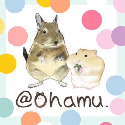 みつき@通販再開's profile picture