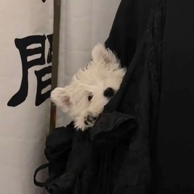 我不给人当狗的's profile picture