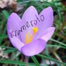 Profilbild von krameroto