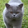 Profilbild von IMP