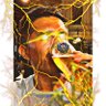 Francis.btc's profile picture