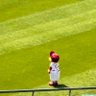 piyo ⚾️ profil fotoğrafı