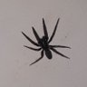 im_guill _35's profile picture