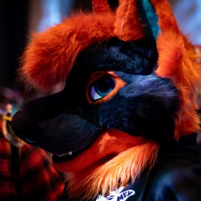 KlausFolfsky's profile picture