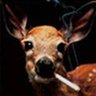 Profilbild von e