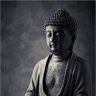 Tech Buddha profil fotoğrafı