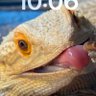 Joanna Harlock's profile picture
