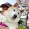 Profilbild von やっち