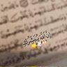 Profilbild von متطوع