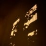 tubi's profile picture